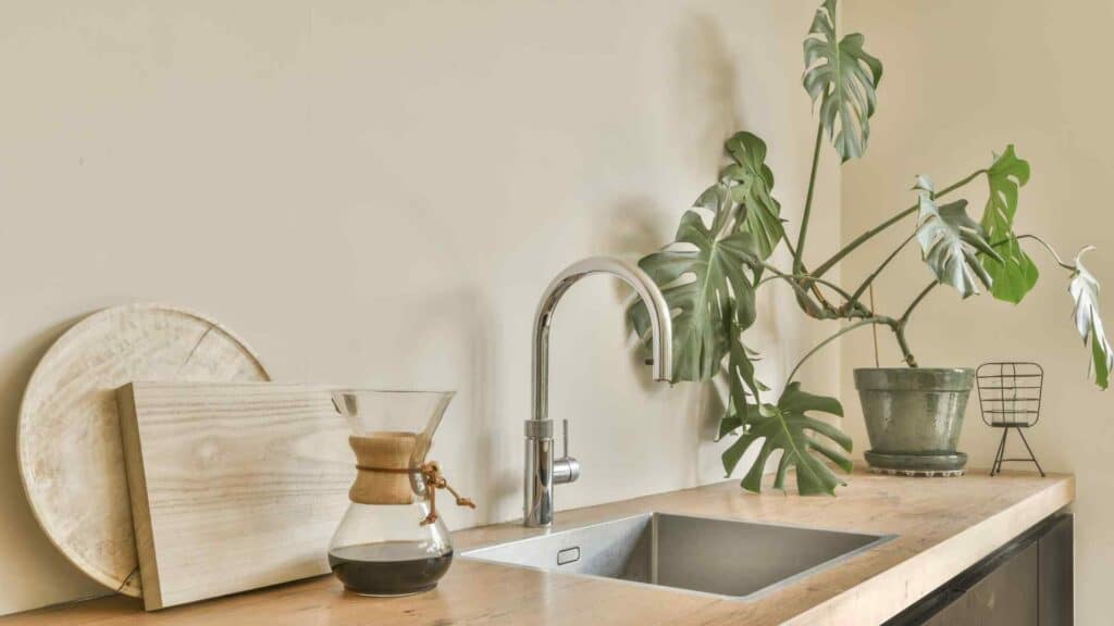 plante-decoration-cuisine